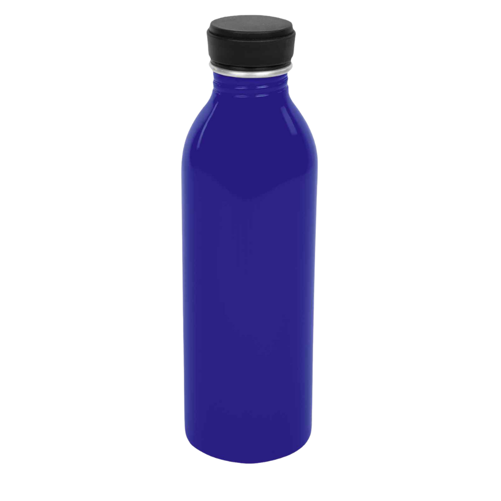 Aluminum Colby Bottle - 17oz Blue