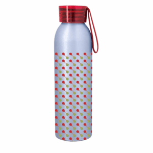 Full Color Darby Aluminum Bottle 22 oz Silver Red Megabrite